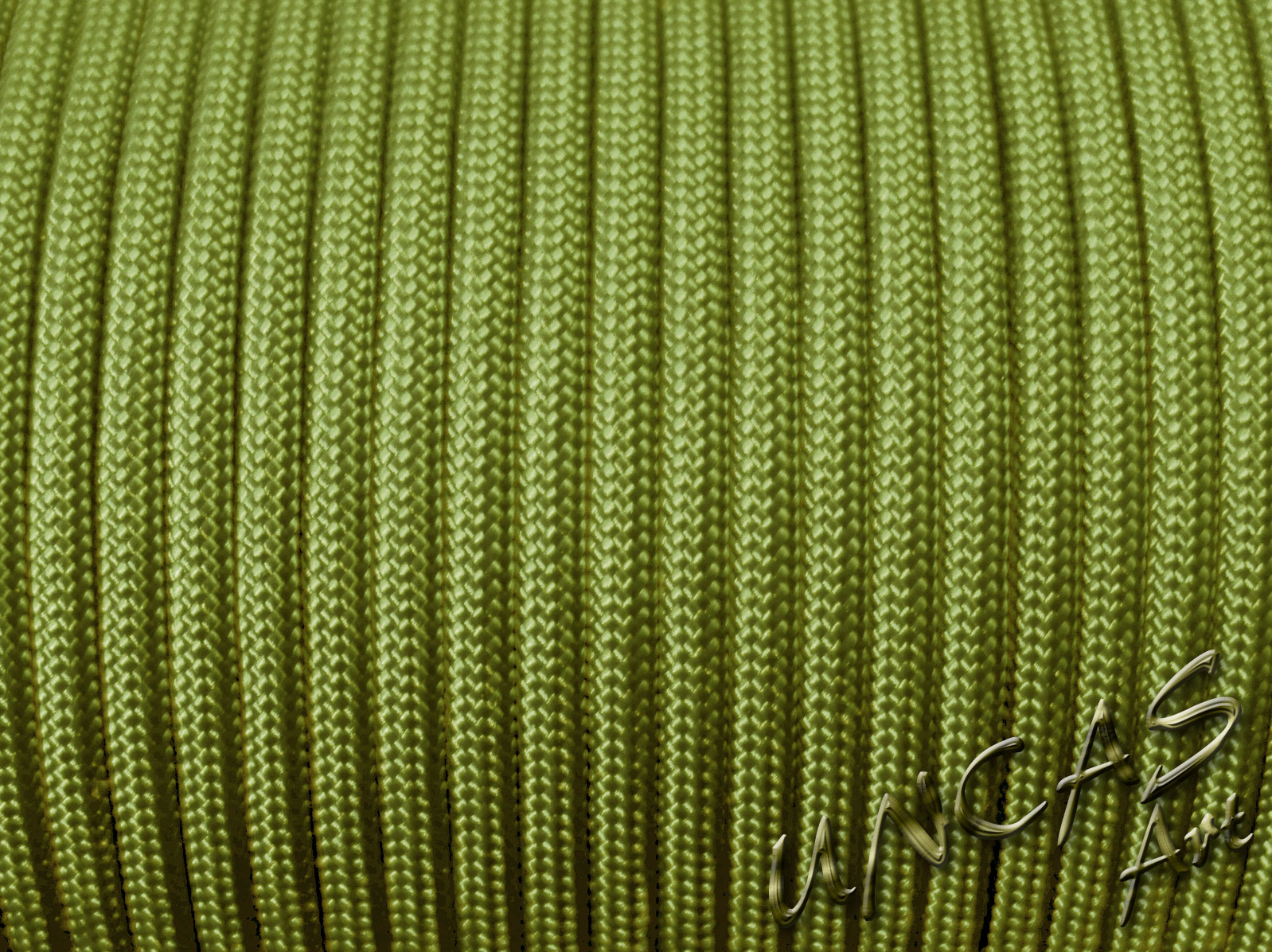 Bild von Paracord 550 Typ 3 - moos grün