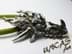 Bild von Drachen Skull Anhänger DRAGON SKULL mit Kette